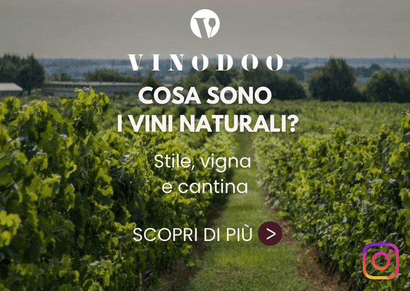 vinodoo.official