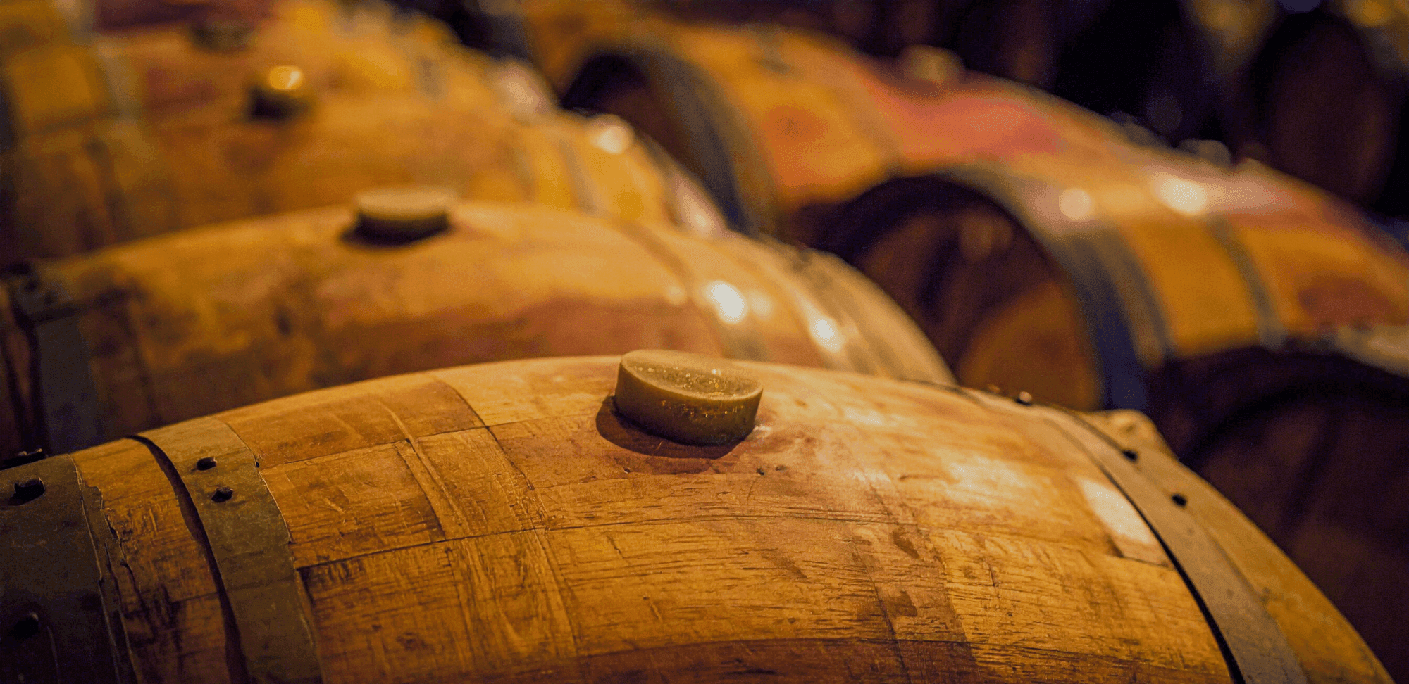 Più di 10.000 Etichette da tutto il Mondo!<br>Un catalogo che diventa esperienza.