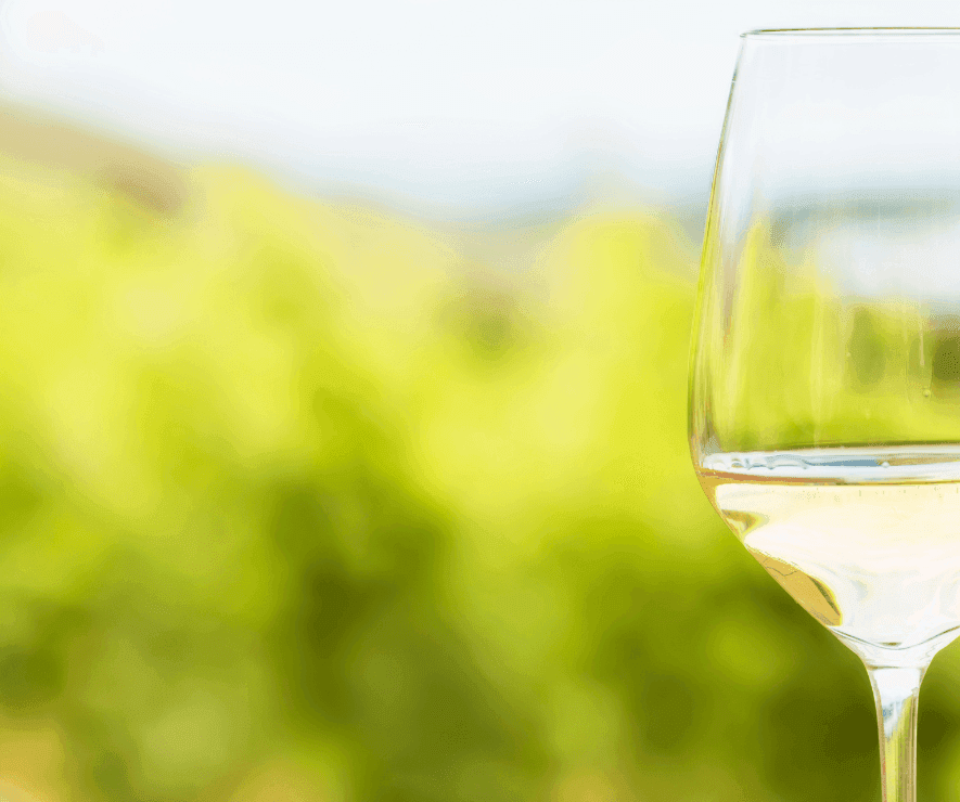 <h2 style="color: #461c24; text-shadow: 1px 1px 4pb1582dx rgba(0,0,0,0.6);"><b>Chenin Blanc</b></h2>