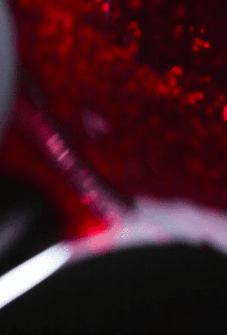 <h2 style="color: #ffffff; text-shadow: 1px 1px 4pb1582dx rgba(0,0,0,0.6);"><b>Barolo: 2006 e 2013</b></h2>